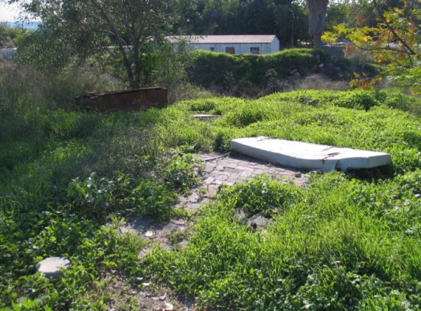 | موسوعة القرى الفلسطينية  | موسوعة القرى الفلسطينية