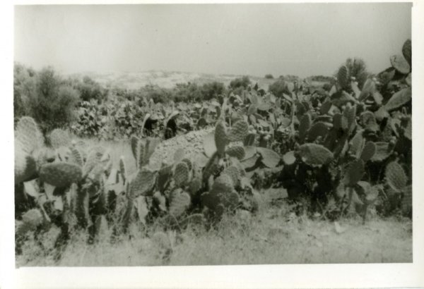 | موسوعة القرى الفلسطينية  | موسوعة القرى الفلسطينية