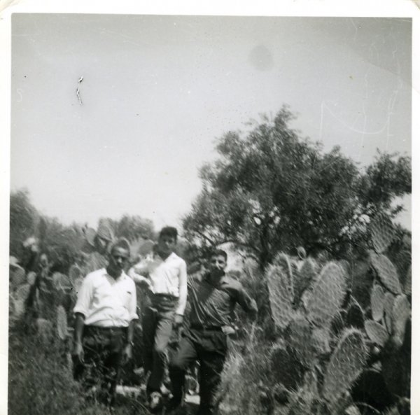 | موسوعة القرى الفلسطينية  | موسوعة القرى الفلسطينية