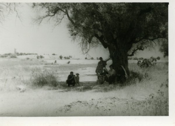 | موسوعة القرى الفلسطينية  | موسوعة القرى الفلسطينية