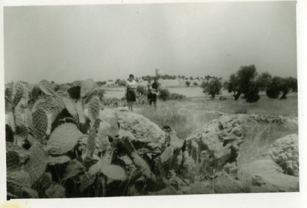 | موسوعة القرى الفلسطينية  | موسوعة القرى الفلسطينية