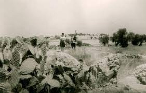 | موسوعة القرى الفلسطينية  | موسوعة القرى الفلسطينية