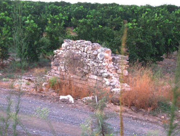 | موسوعة القرى الفلسطينية  | موسوعة القرى الفلسطينية