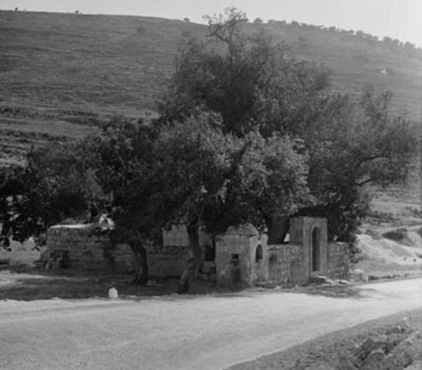 | موسوعة القرى الفلسطينية  | موسوعة القرى الفلسطينية