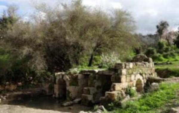 | موسوعة القرى الفلسطينية  | موسوعة القرى الفلسطينية