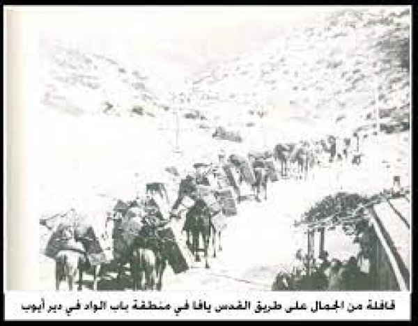 | موسوعة القرى الفلسطينية  | موسوعة القرى الفلسطينية