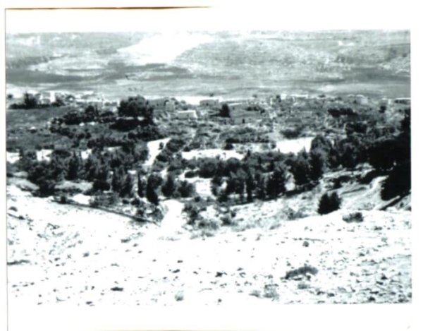 | موسوعة القرى الفلسطينية  | موسوعة القرى الفلسطينية