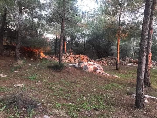 | موسوعة القرى الفلسطينية  | موسوعة القرى الفلسطينية