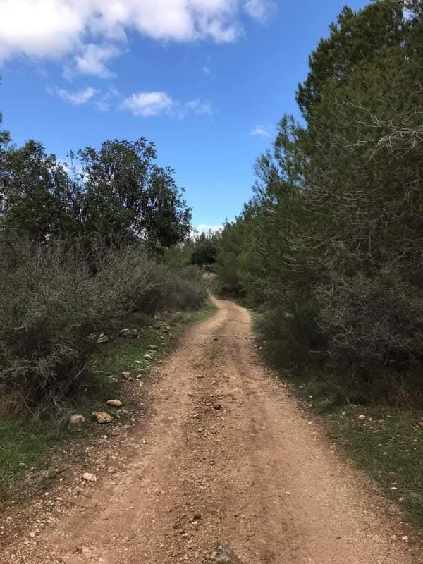 | موسوعة القرى الفلسطينية  | موسوعة القرى الفلسطينية