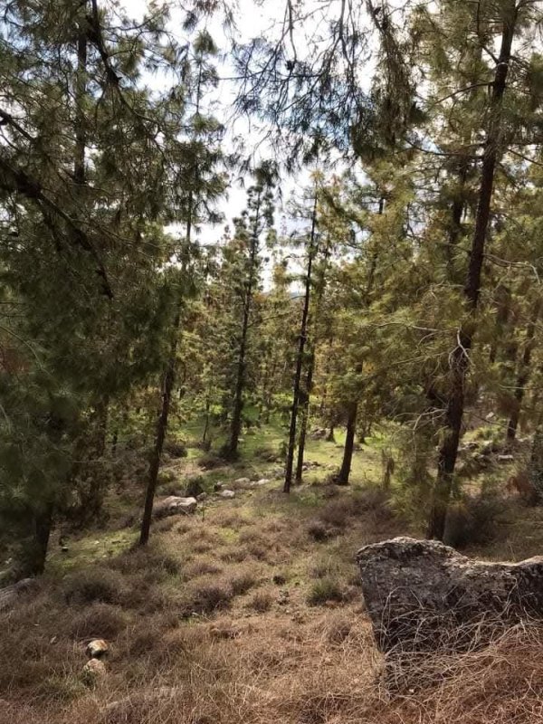 | موسوعة القرى الفلسطينية  | موسوعة القرى الفلسطينية