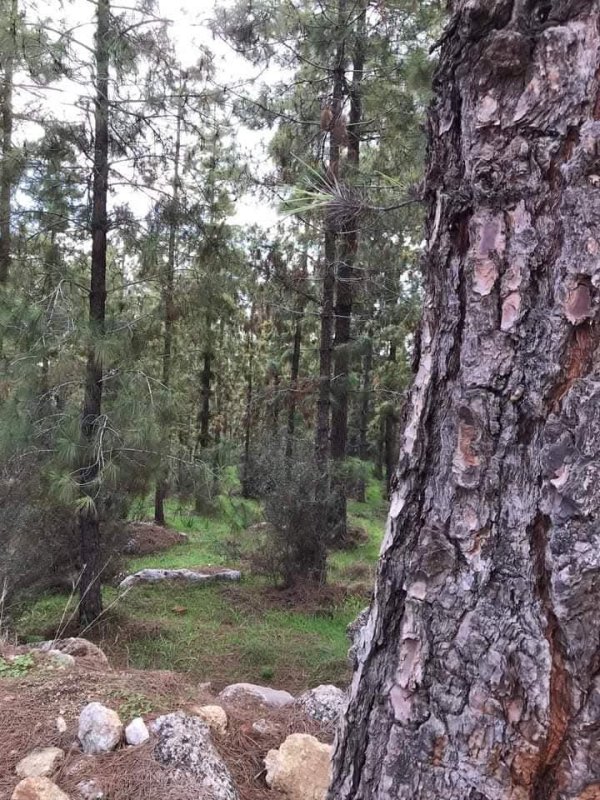 | موسوعة القرى الفلسطينية  | موسوعة القرى الفلسطينية