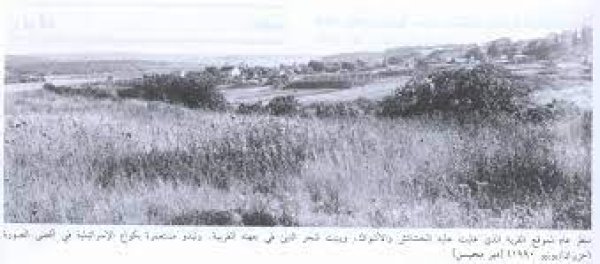 قرية دير محيسن/ الرملة قرية دير محيسن/ الرملة