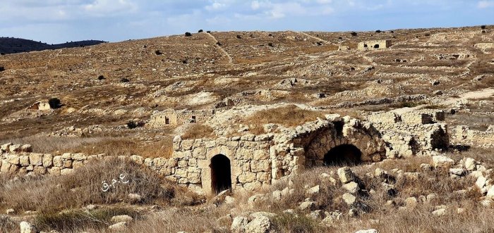 دير محيسن/ الرملة  | موسوعة القرى الفلسطينية