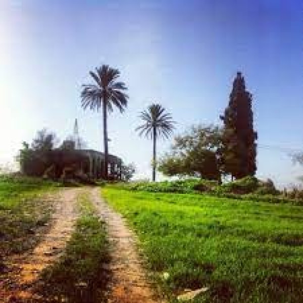 | موسوعة القرى الفلسطينية  | موسوعة القرى الفلسطينية