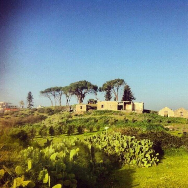 | موسوعة القرى الفلسطينية  | موسوعة القرى الفلسطينية