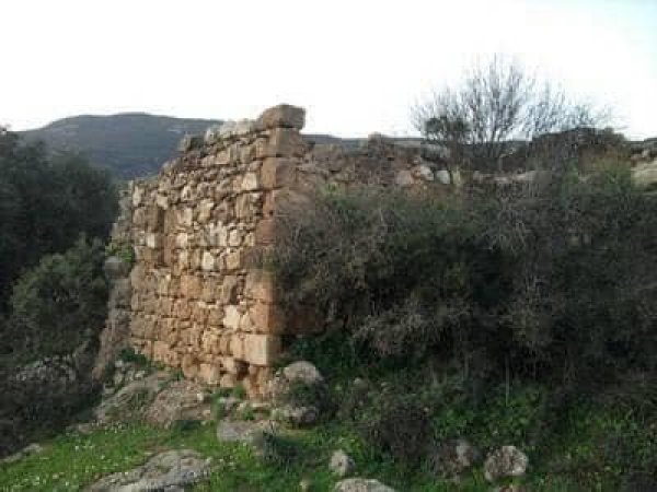 | موسوعة القرى الفلسطينية  | موسوعة القرى الفلسطينية