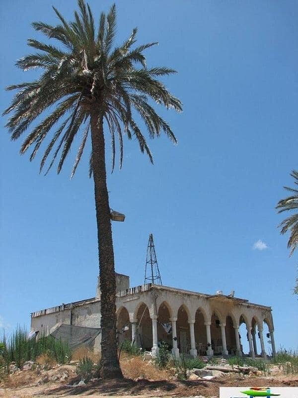 | موسوعة القرى الفلسطينية  | موسوعة القرى الفلسطينية