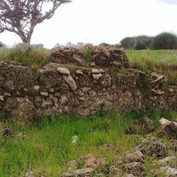 | موسوعة القرى الفلسطينية  | موسوعة القرى الفلسطينية