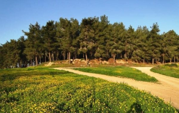 | موسوعة القرى الفلسطينية  | موسوعة القرى الفلسطينية