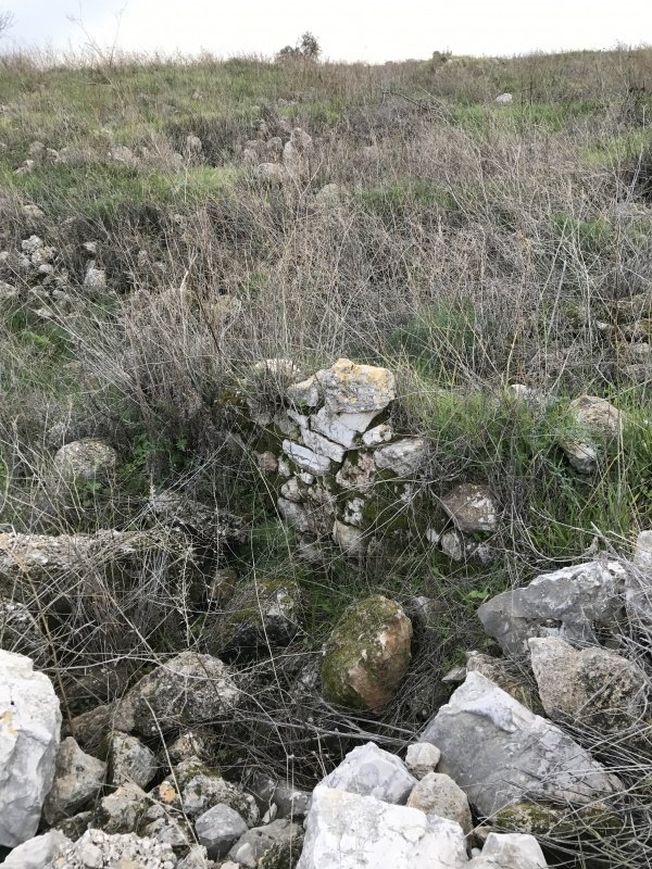 قرية برفيلية / الرملة