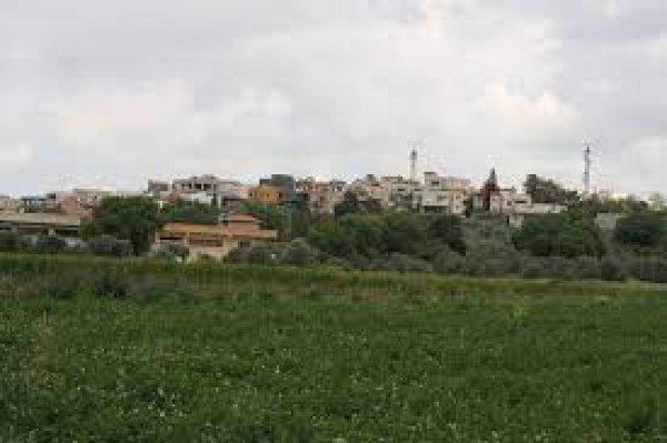 محيط القرية