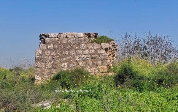 | موسوعة القرى الفلسطينية  | موسوعة القرى الفلسطينية