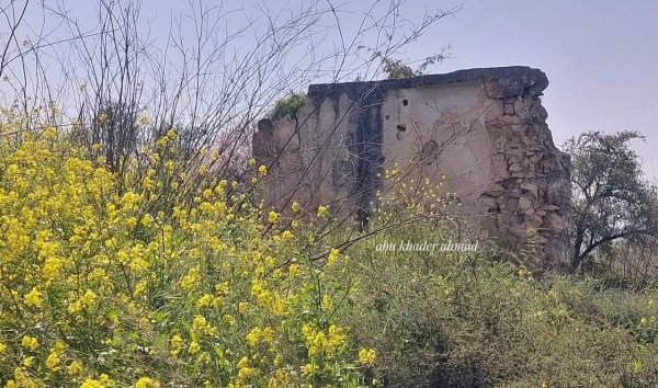 | موسوعة القرى الفلسطينية  | موسوعة القرى الفلسطينية