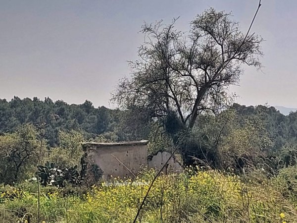 | موسوعة القرى الفلسطينية  | موسوعة القرى الفلسطينية