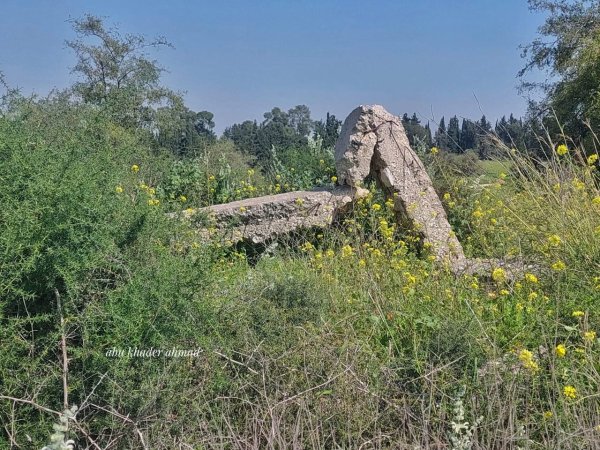 | موسوعة القرى الفلسطينية  | موسوعة القرى الفلسطينية