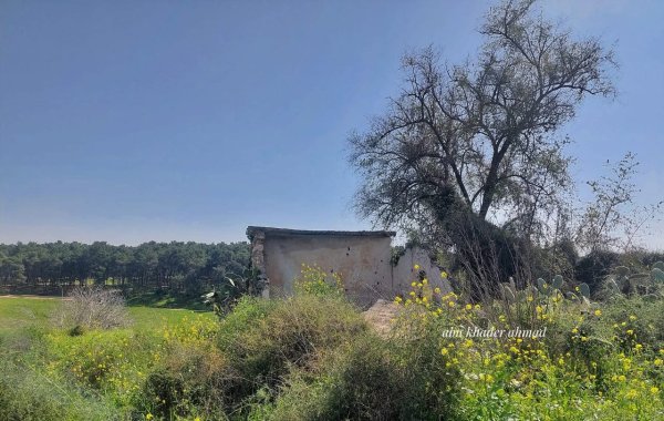 | موسوعة القرى الفلسطينية  | موسوعة القرى الفلسطينية