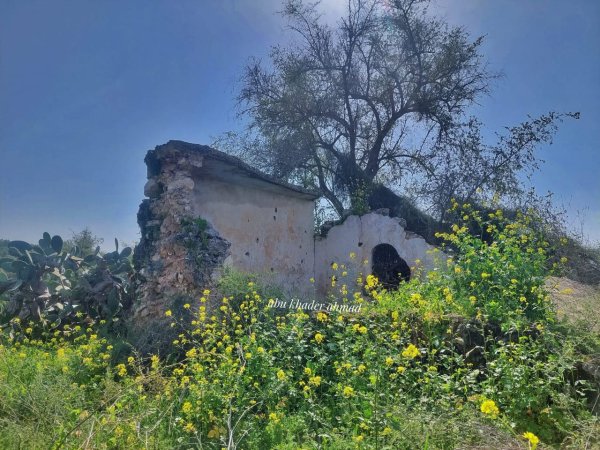 | موسوعة القرى الفلسطينية  | موسوعة القرى الفلسطينية