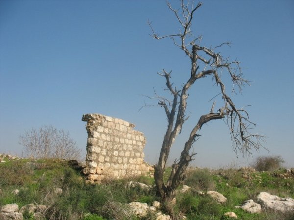 | موسوعة القرى الفلسطينية  | موسوعة القرى الفلسطينية