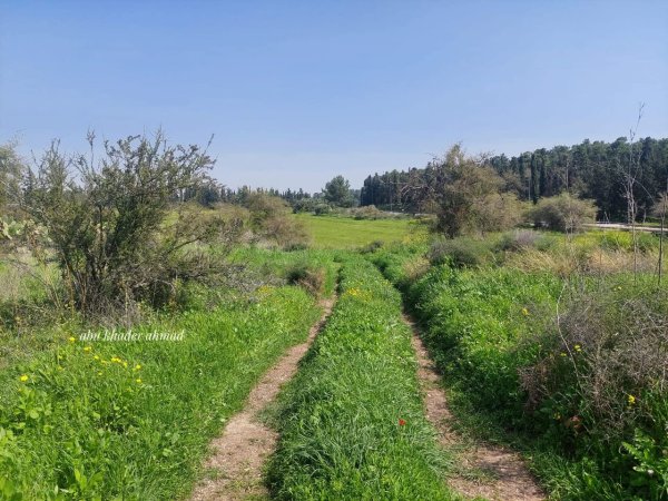 | موسوعة القرى الفلسطينية  | موسوعة القرى الفلسطينية