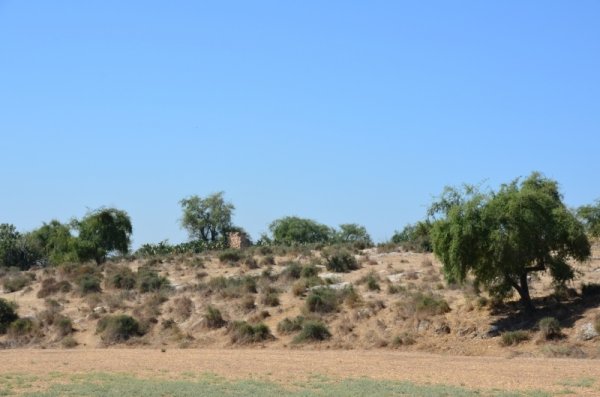 | موسوعة القرى الفلسطينية  | موسوعة القرى الفلسطينية