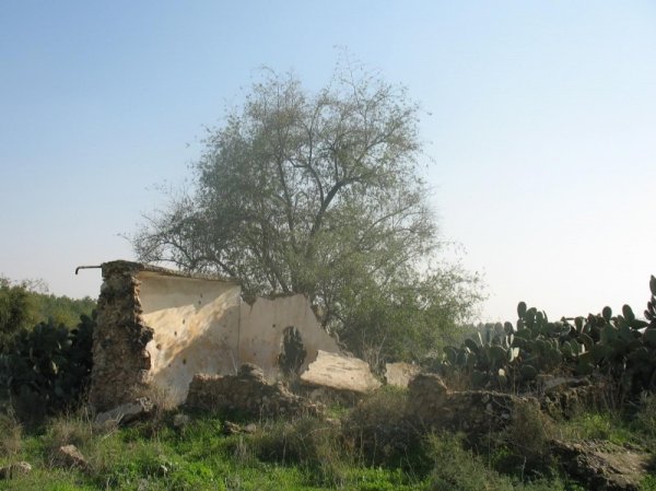 | موسوعة القرى الفلسطينية  | موسوعة القرى الفلسطينية