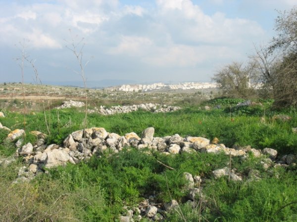 | موسوعة القرى الفلسطينية  | موسوعة القرى الفلسطينية