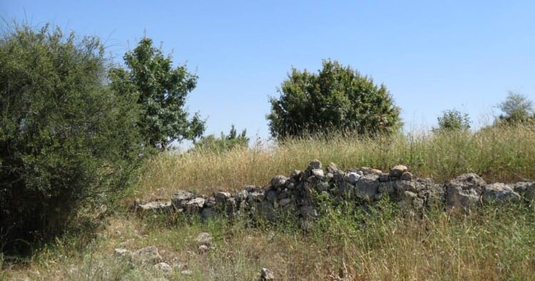 خَرُّوبَة  | موسوعة القرى الفلسطينية