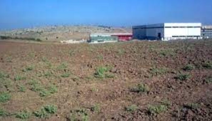 دانيال  | موسوعة القرى الفلسطينية