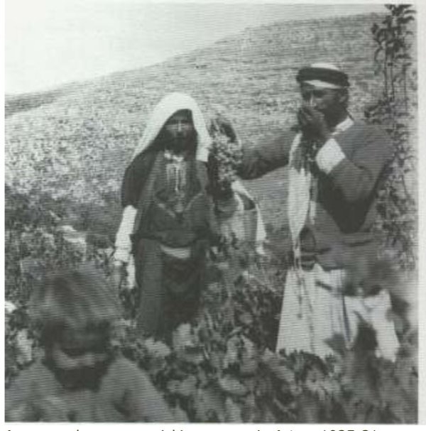 سكان القرية