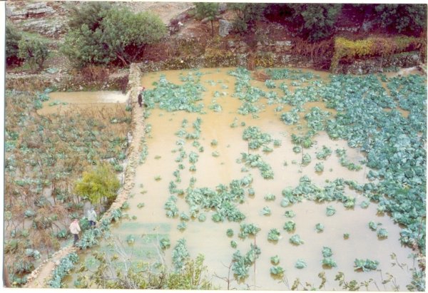  | موسوعة القرى الفلسطينية