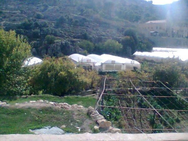  | موسوعة القرى الفلسطينية