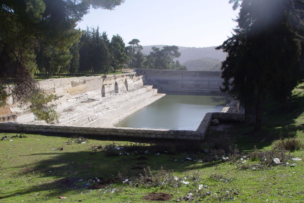 برك سليمان/ أرطاس