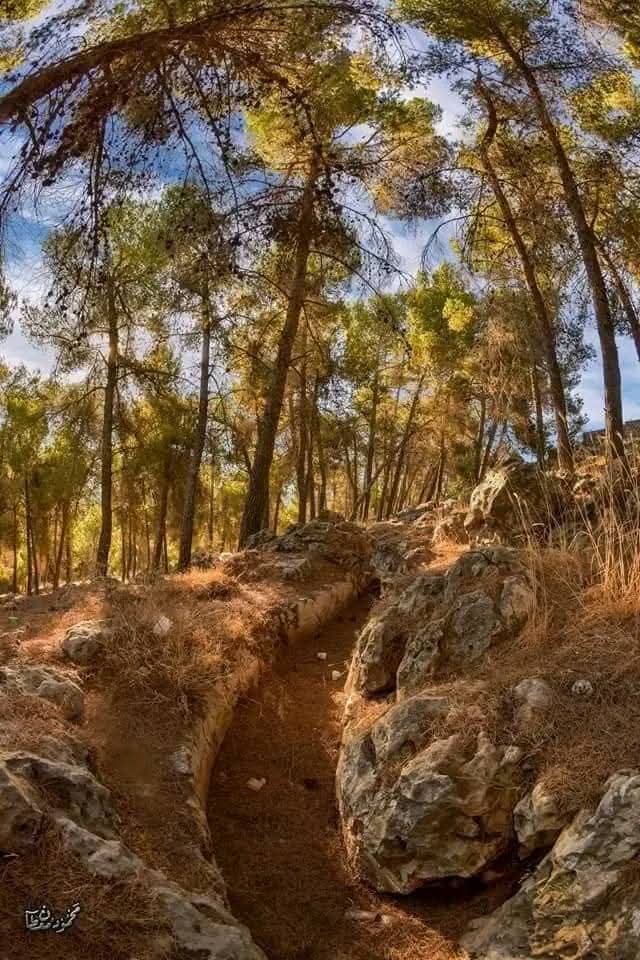  | موسوعة القرى الفلسطينية