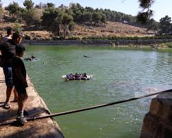 برك سليمان/ أرطاس