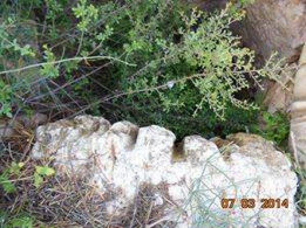 صوره قريبه للبير واثار تاكل الحجر بسبب شد الحبال