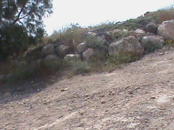 بركوسيا: البئر الغربي يبعد نصف كم من مركز القرية، أيار 2008