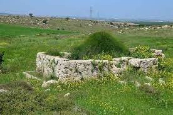 البئر الرئيسي- بئر ابو خرزة- في قرية بركوسيا