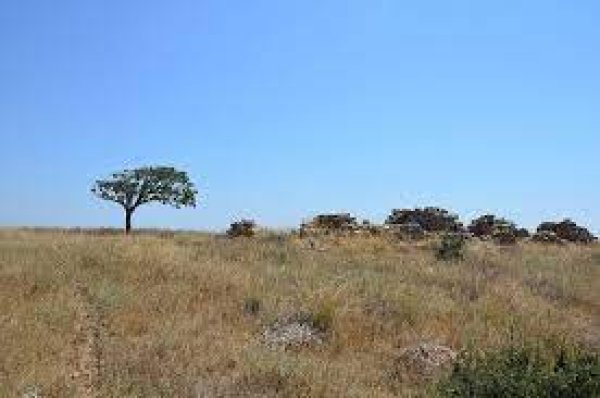 اثار بقايا دور  ال خشان