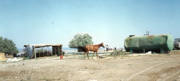 صورة لمكان يسمى المطينة