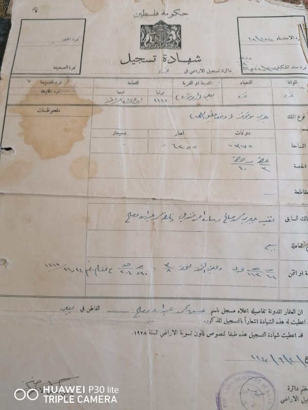 قوشان يخص  حسن القواسمي عم م.أنور القواسمي قوشان يخص  حسن القواسمي عم م.أنور القواسمي